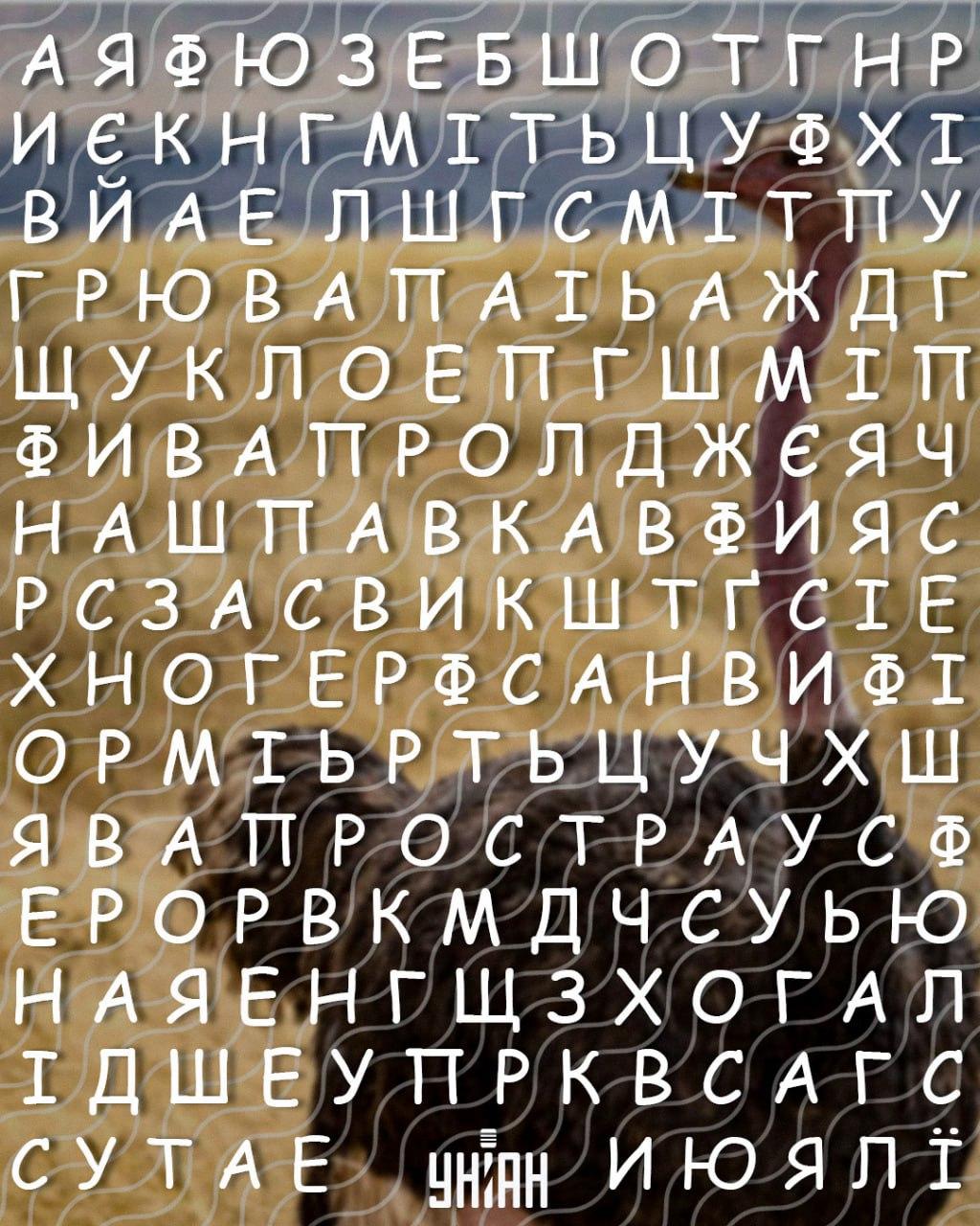 Endast personer med hög IQ kan hitta ordet Endast personer med hög IQ kan hitta ordet