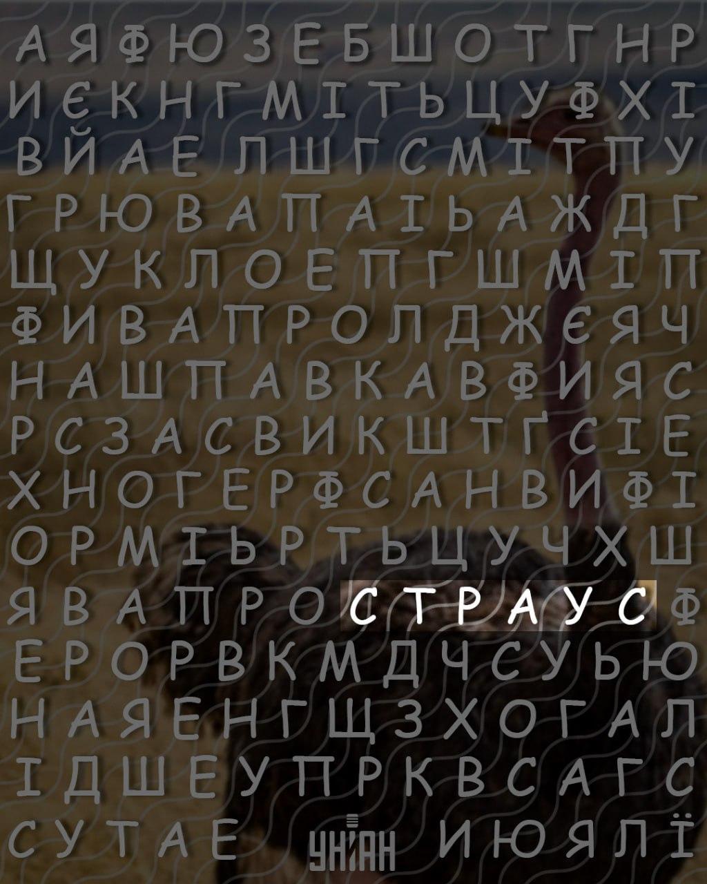 Endast personer med hög IQ kan hitta ordet Endast personer med hög IQ kan hitta ordet