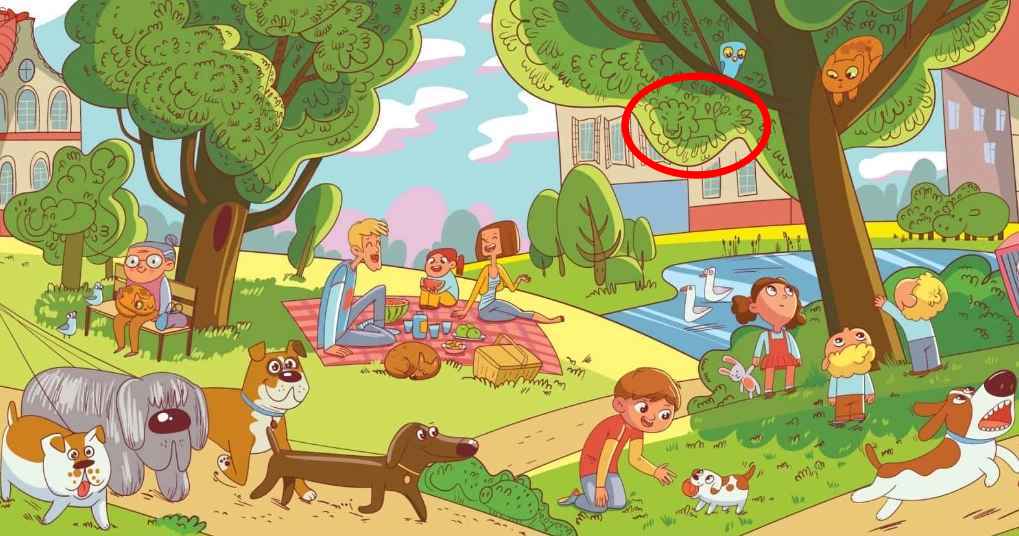 Detta är en uppgift som bara ett fåtal människor kan göra: du måste hitta lejonet i parken på 6 sekunder