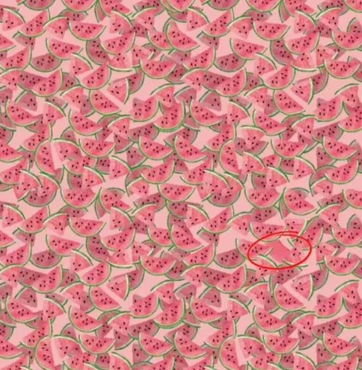 Hitta en speciell vattenmelon på 10 sekunder