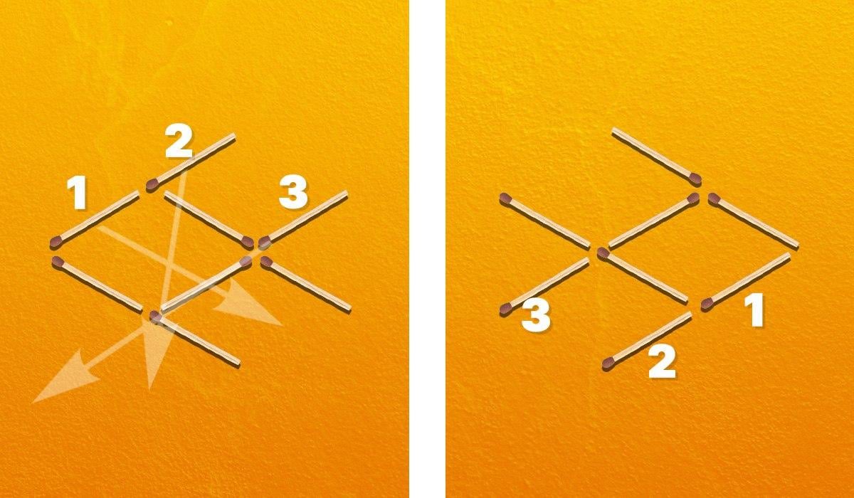 Du måste flytta tre tändstickor för att vända fisken till höger / Moje collage