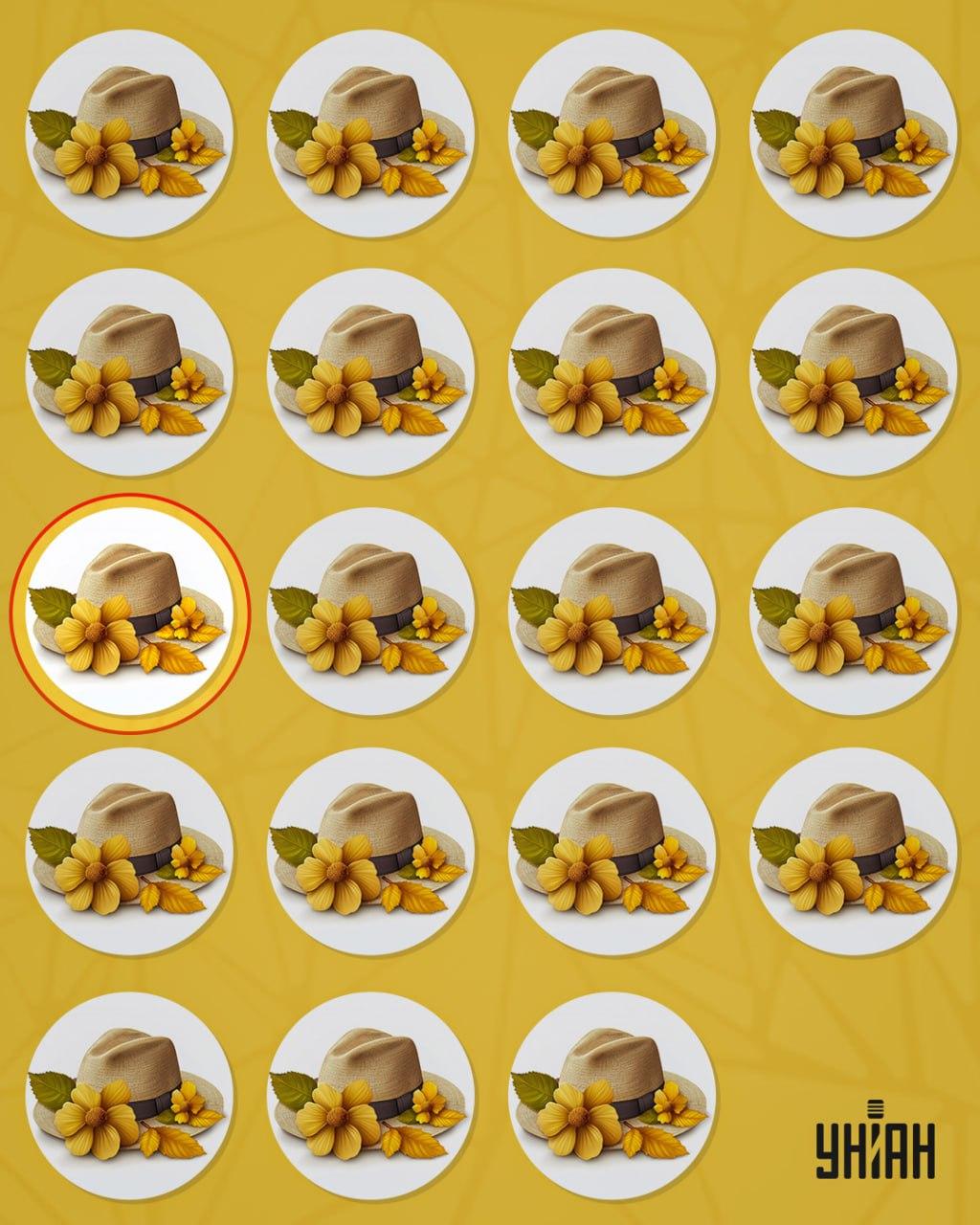 Den märkliga hatten skiljde sig från de andra genom en liten detalj / Moje collage