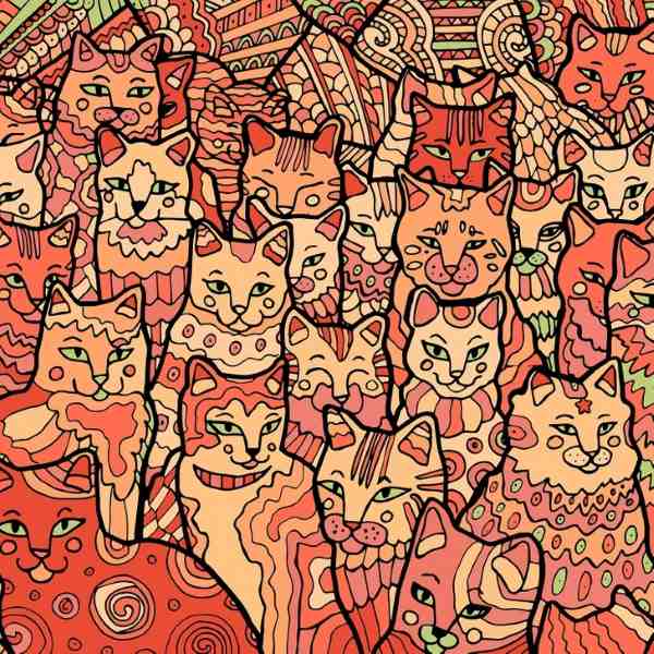 Optisk illusion för personer med örnblick: du måste hitta en stjärna bland katterna