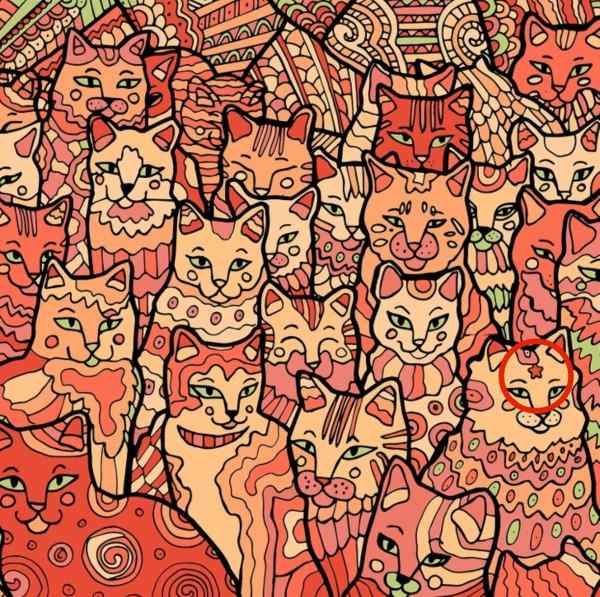 Optisk illusion för personer med örnblick: du måste hitta en stjärna bland katterna