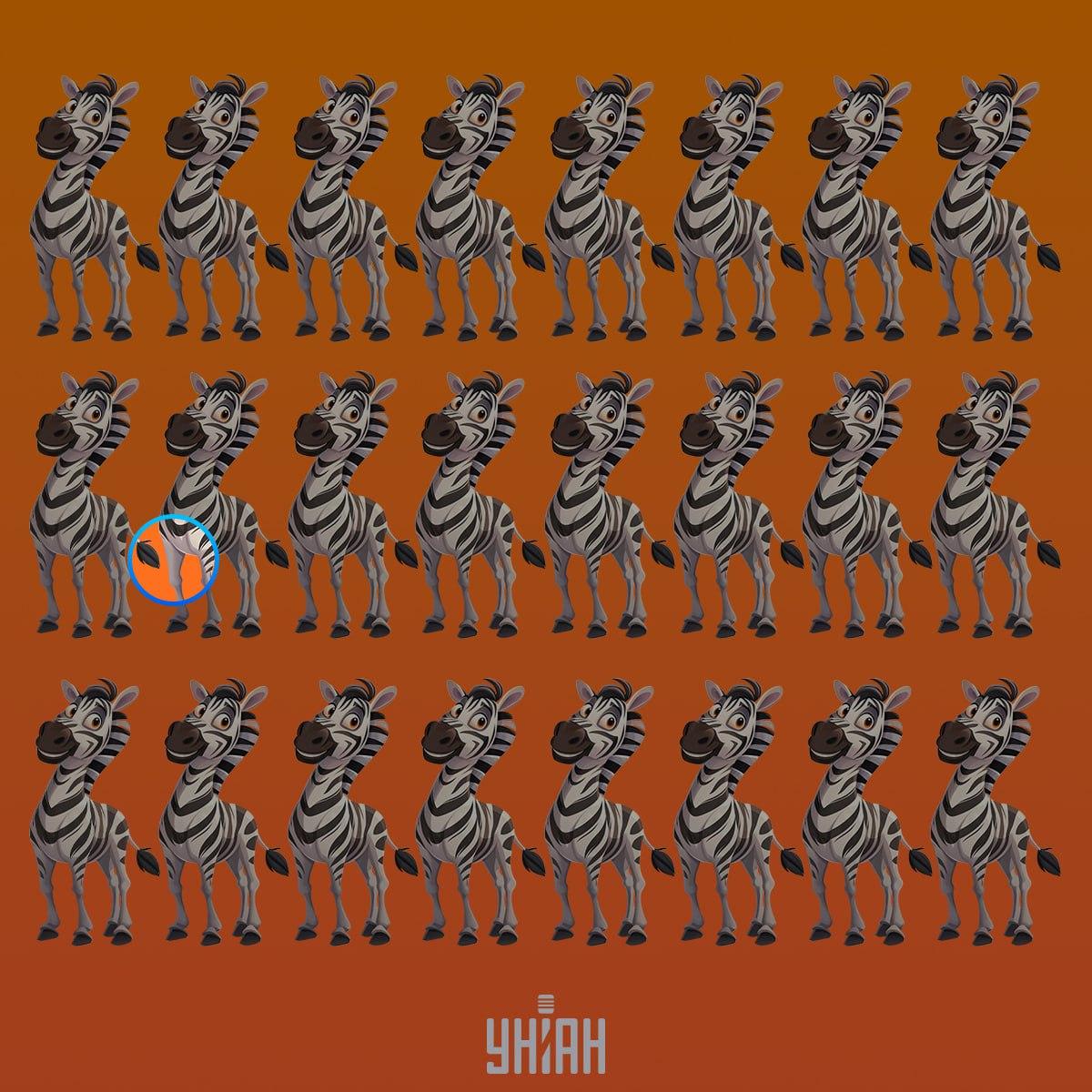 En märklig zebra fanns i den andra raden uppifrån / Moje collage