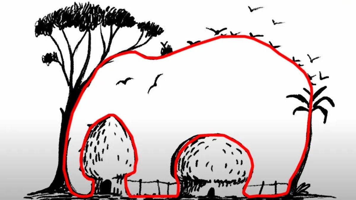 Lösning till den optiska illusionen