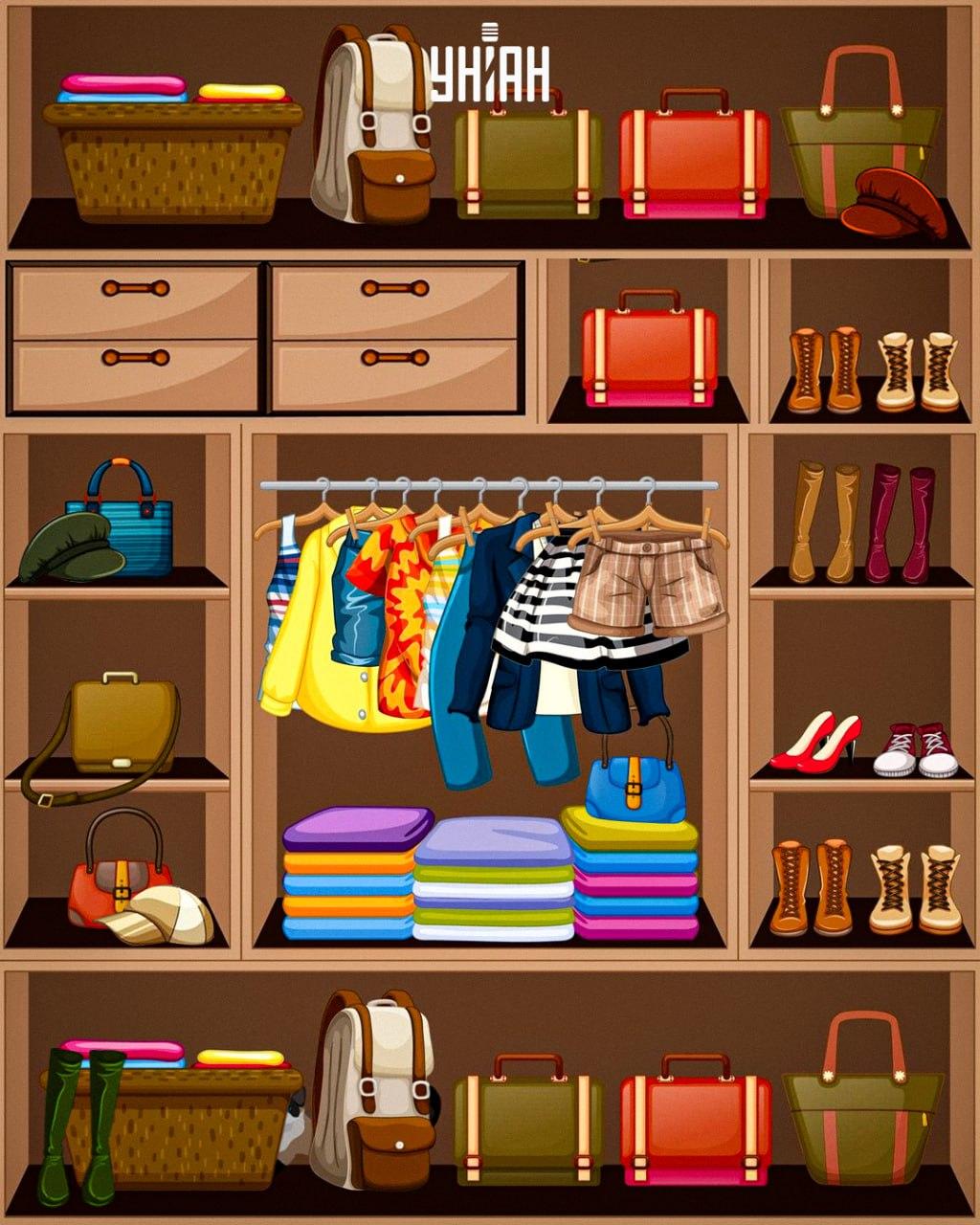 Behöver du hitta en listig katt / collage Moje