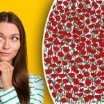 Bara den som är superuppmärksam hittar krabban på bilden: testa din IQ på 25 sekunder Bara den som är superuppmärksam hittar krabban på bilden: testa