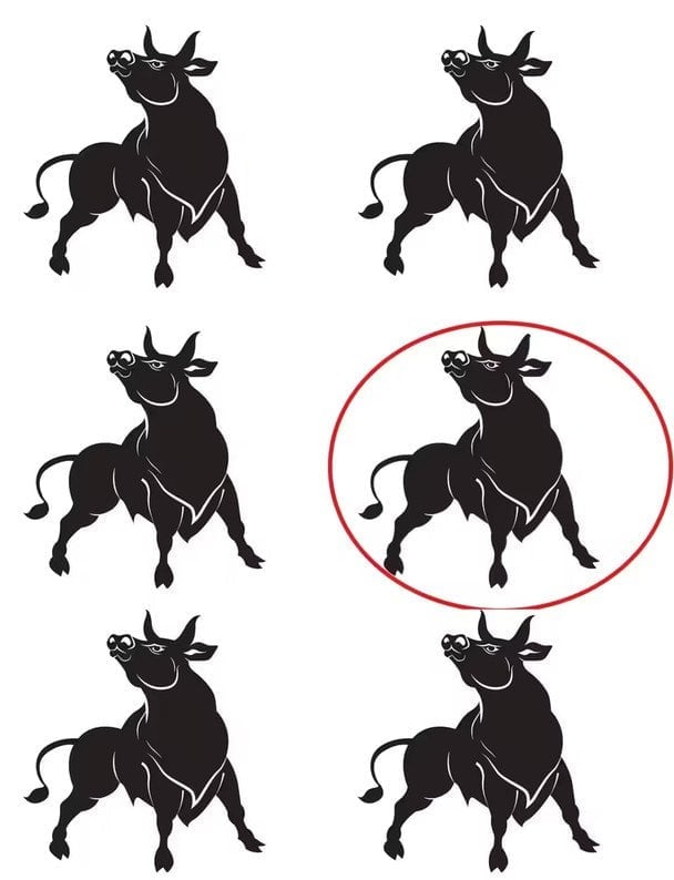 Intressant uppmärksamhetspussel - lösa det